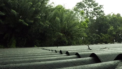 Light rain on the roof Stockbeeldmateriaal 219988213