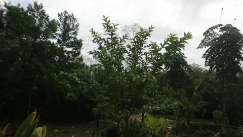 Light rain before storm Stock Footage 325718830
