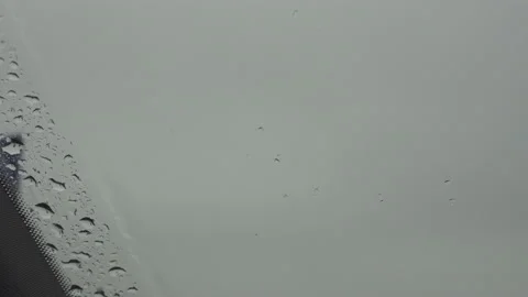 Light rain on windshield wiper blade wipes water off Stockbeeldmateriaal 137498429
