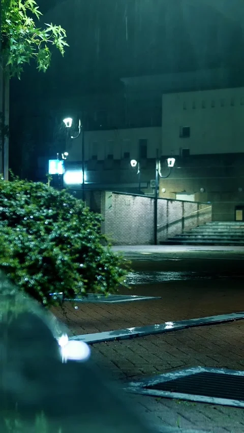 Light rainfall. Puddle with lights reflection on city sidewalk. Streetlight. Stock-Footage 313343408