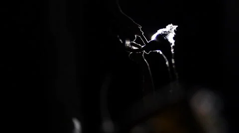 Light ray Stock-Footage 2257389