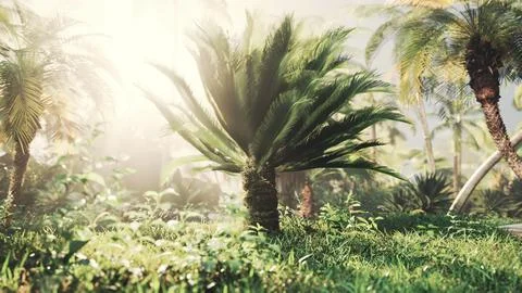 Light ray in a Jungle rainforest 스톡 일러스트
