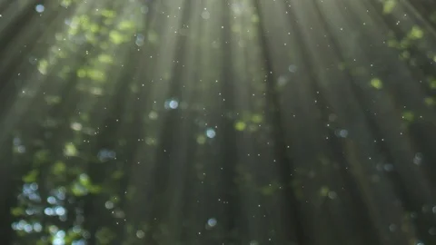 Light Rays Background Loop Vidéo 88575233