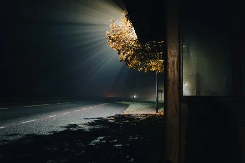 Light rays emerging from a street light on a dark mysterioius night Stock Photos