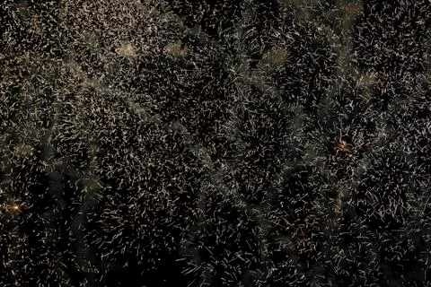 Light rays from fireworks on a dark background. Stock Photos