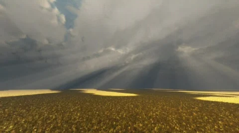 Light Rays 動画素材 497875