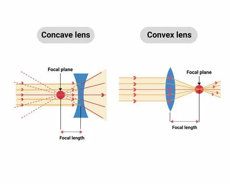 Light rays passing through lens Convex or converging lens schematic diagram  Stock Illustration