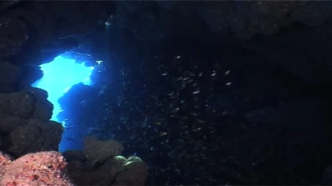 Light Rays Piercing Through Cave Entrance Stock Footage 300413151