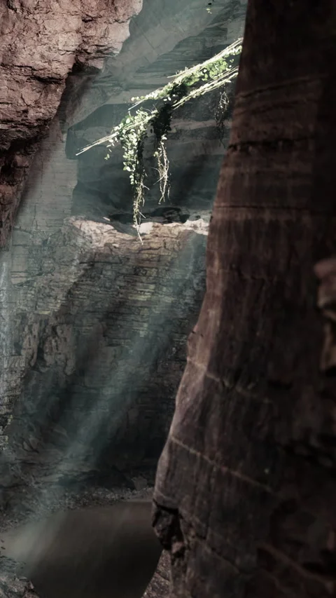 Light rays shine through rocks in a canyon with plants growing overhead Stock Footage 340876923