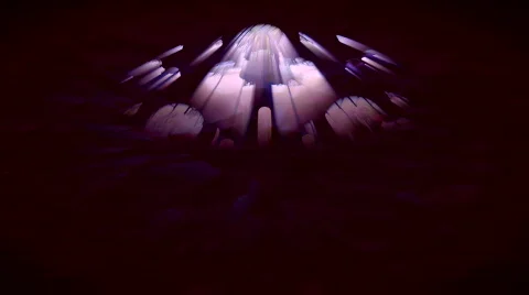 Light rays shining through circular stained glass windows. HD 1080i Stock Footage 114275