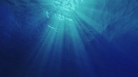 Light rays shining through. Great popular marine Background Stock Footage 70896874