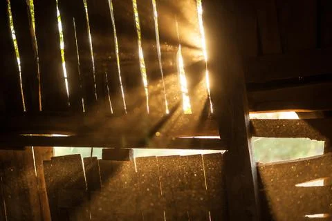 Light rays of the sun background Stock Photos