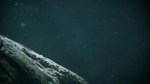 Light rays underwater Stock Footage 278362424