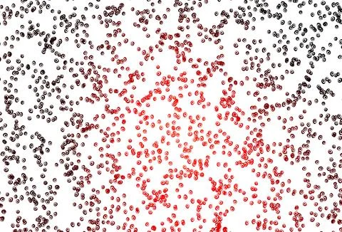 Light Red vector backdrop with dots. 스톡 일러스트