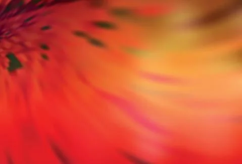 Light Red vector blurred bright pattern. Illustrazione stock