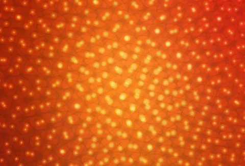 Light Red vector layout with circle shapes. Illustrazione stock