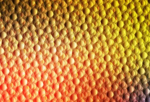 Light Red, Yellow vector background with bubbles. Stock Illustration