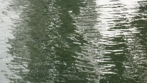 LIght is refelected on water surface Stockbeeldmateriaal 85539468