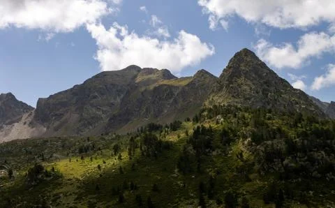 Light Reflected in the Forest Amidst the Mountains Stock Photos