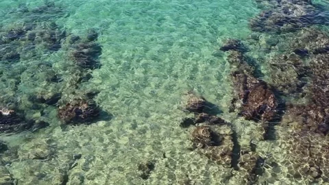 Light reflected, refracted off a crystal clear aquamarine sea Stock Footage 221624782