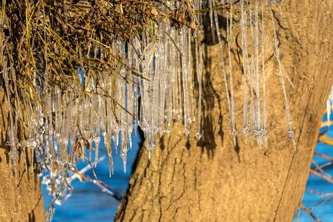 Light reflected through icicles at a river in winter time Stock Photos