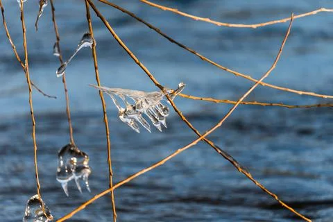 Light reflected through icicles at a river in winter time Stock Photos