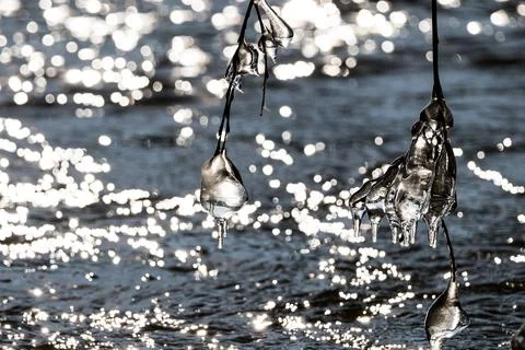 Light reflected through icicles at a river in winter time Stock Photos