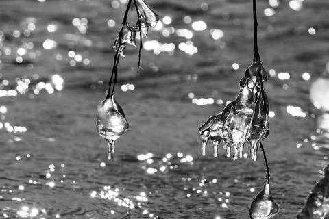 Light reflected through icicles at a river in winter time Stock Photos