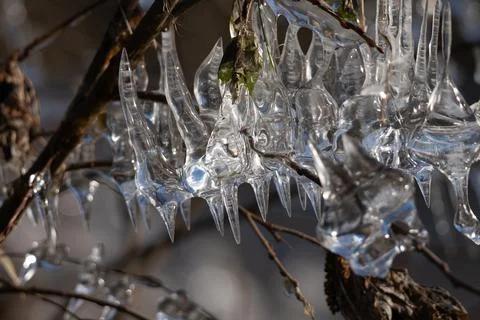 Light reflected through icicles at a river in winter time Stock Photos