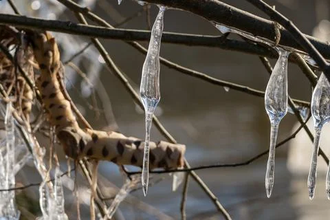 Light reflected through icicles at a river in winter time Stock Photos