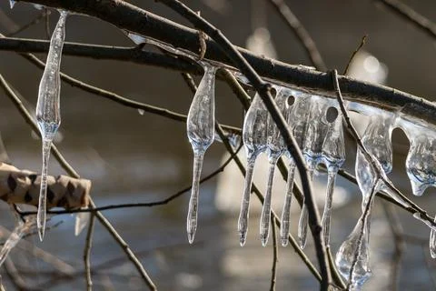 Light reflected through icicles at a river in winter time Stock Photos