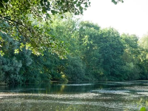 Light reflected in the water surface of lake Foto stock