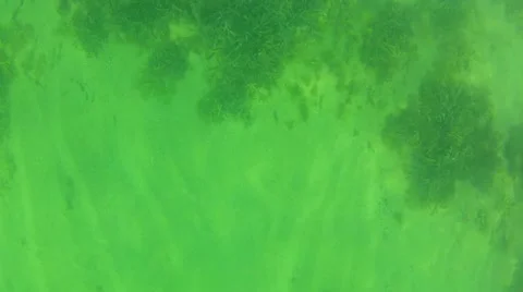 Light reflecting on ocean floor Stock Footage