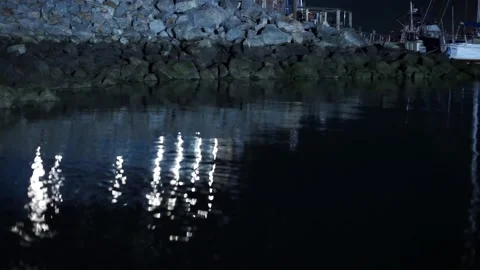 Light reflecting off water in Crane Cove Park at night Stock Footage 233469448