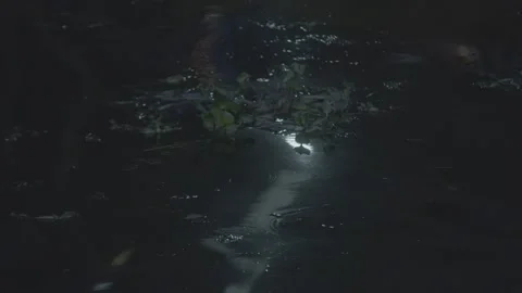 Light reflecting off water at night Video stock 244656912