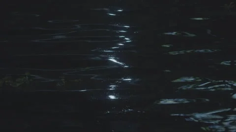Light reflecting off water at night 스톡 동영상 244658302
