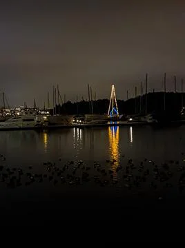 Light reflection in dark water - Lysaker Stock Photos