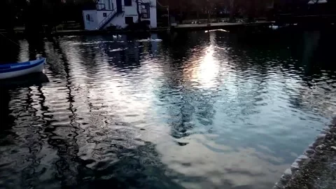 Light reflection on a lake. 스톡 동영상 229973092