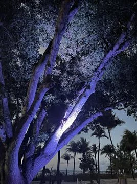 Light Reflection Foto stock