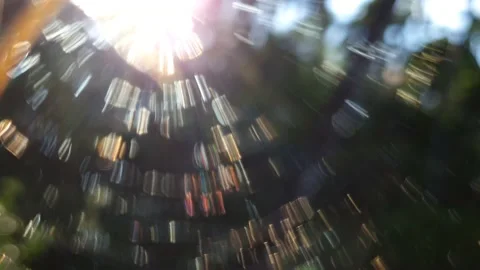 Light reflection on spider web Stock Footage 143624016