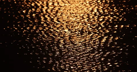 Light Reflection in the water Stock Footage 320347104