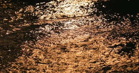 Light Reflection in the water Stock Footage 320438103