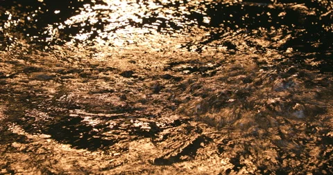 Light Reflection in the water Stock Footage 320438244