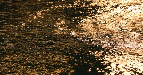 Light Reflection in the water Stock Footage 320438279
