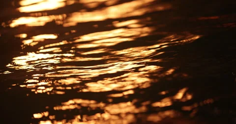 Light Reflection in the water Stock Footage 320452384