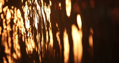 Light Reflection in the water Stock Footage 320452386