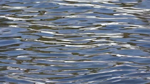 Light reflections and ripples in water Stock Footage 237155908