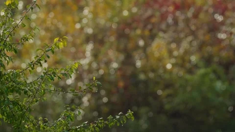 Light reflections during rain Stock Footage 331127128