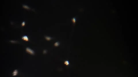 Light Reflections Stock-Footage 7733685