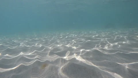 Light reflections ripples on sandy bottom of the sea, clear underwater view Vidéo 203811814